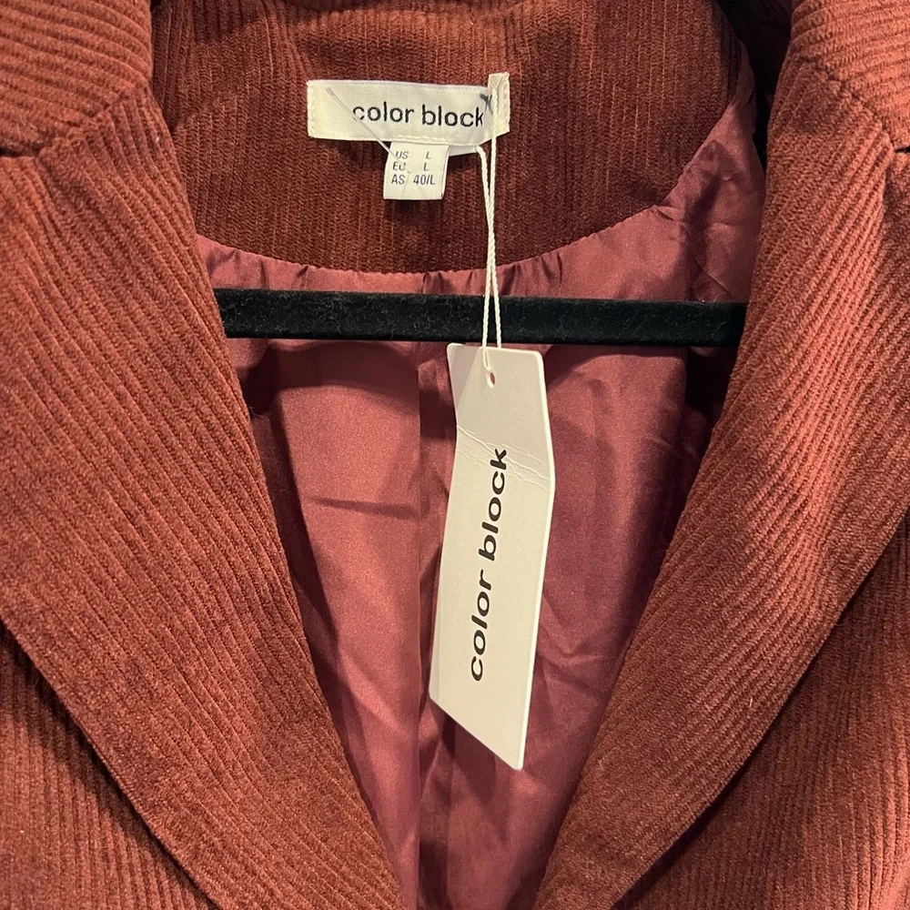 Color Block Blazer - Picture 3 of 4